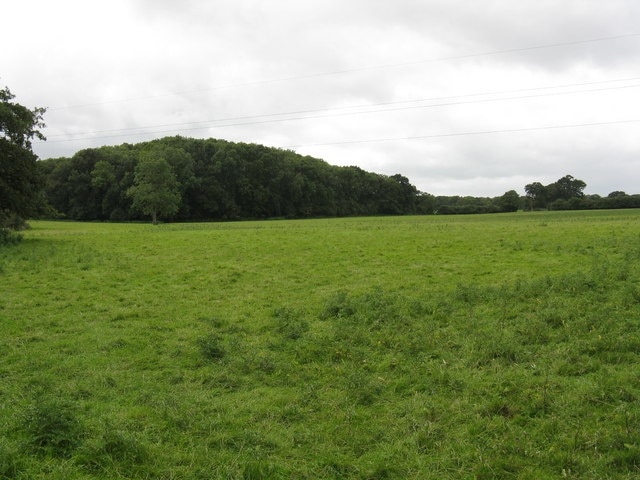 A rather dull field In a gridsquare singularly empty of interesting features!