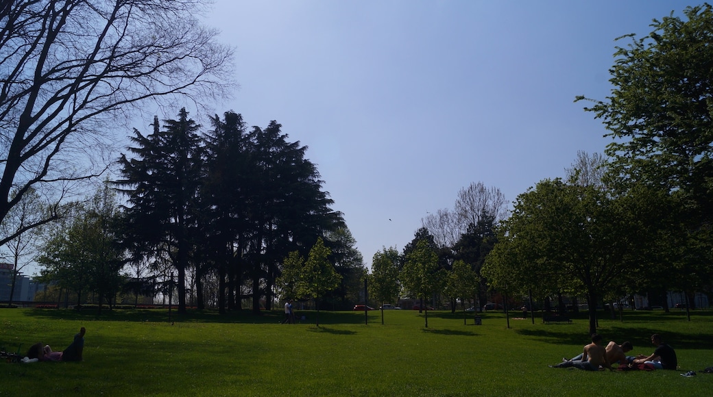 500px provided description: Parco Alessandrina Ravizza, Milan 2018 [#autumn ,#park ,#trees ,#sky ,#spring ,#flower ,#sun ,#sunlight ,#sunshine ,#tree ,#fall ,#green ,#skyline ,#petal ,#woods ,#sunny ,#blossom ,#botanical ,#greenery ,#meadow ,#rural scene ,#boulevard ,#seasons ,#blooming ,#flower head ,#marguerite ,#oxeye daisy ,#treetop ,#fruit tree ,#raised garden]