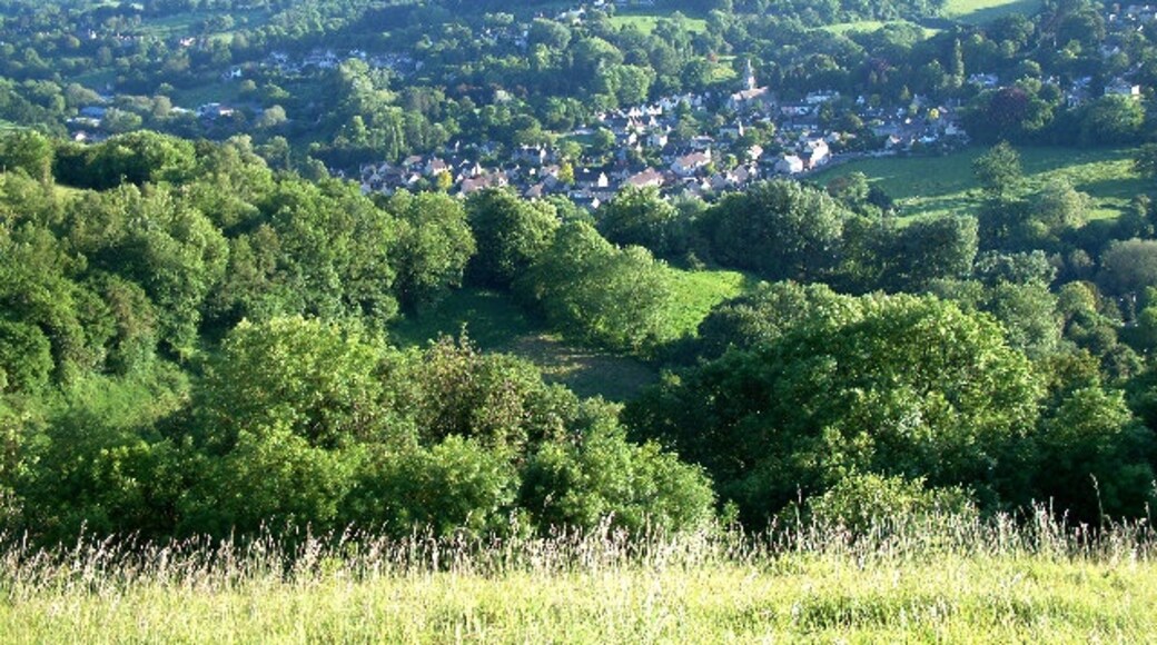Photo "Woodchester" by Richard Haworth (CC BY-SA) / Cropped from original