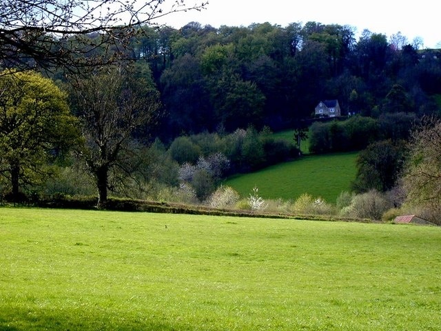 Selsley Hill Looking west up towards Selsley Hill (and Rabbit Warren Wood). This was taken from the field in front of The Priory, Woodchester.