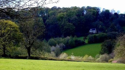 Photo "Woodchester" by Graham Thomas (CC BY-SA) / Cropped from original