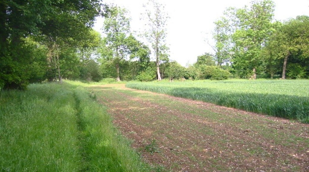 Billede "Wallington" af Paul Dixon (CC BY-SA) / beskåret fra det originale billede