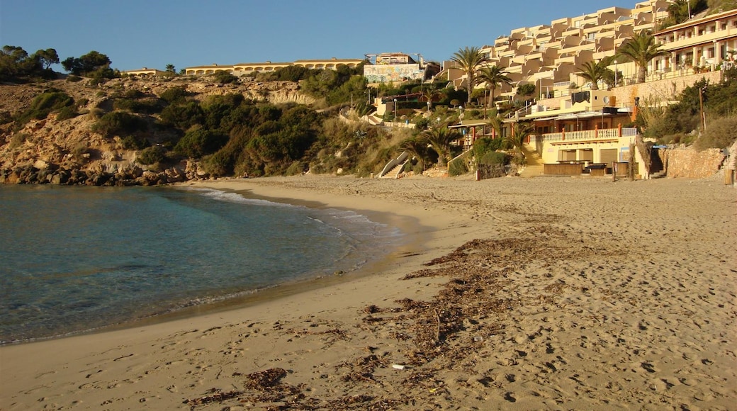 Foto „Strand von Cala Tarida“ von anibal amaro (CC BY)/zugeschnittenes Original