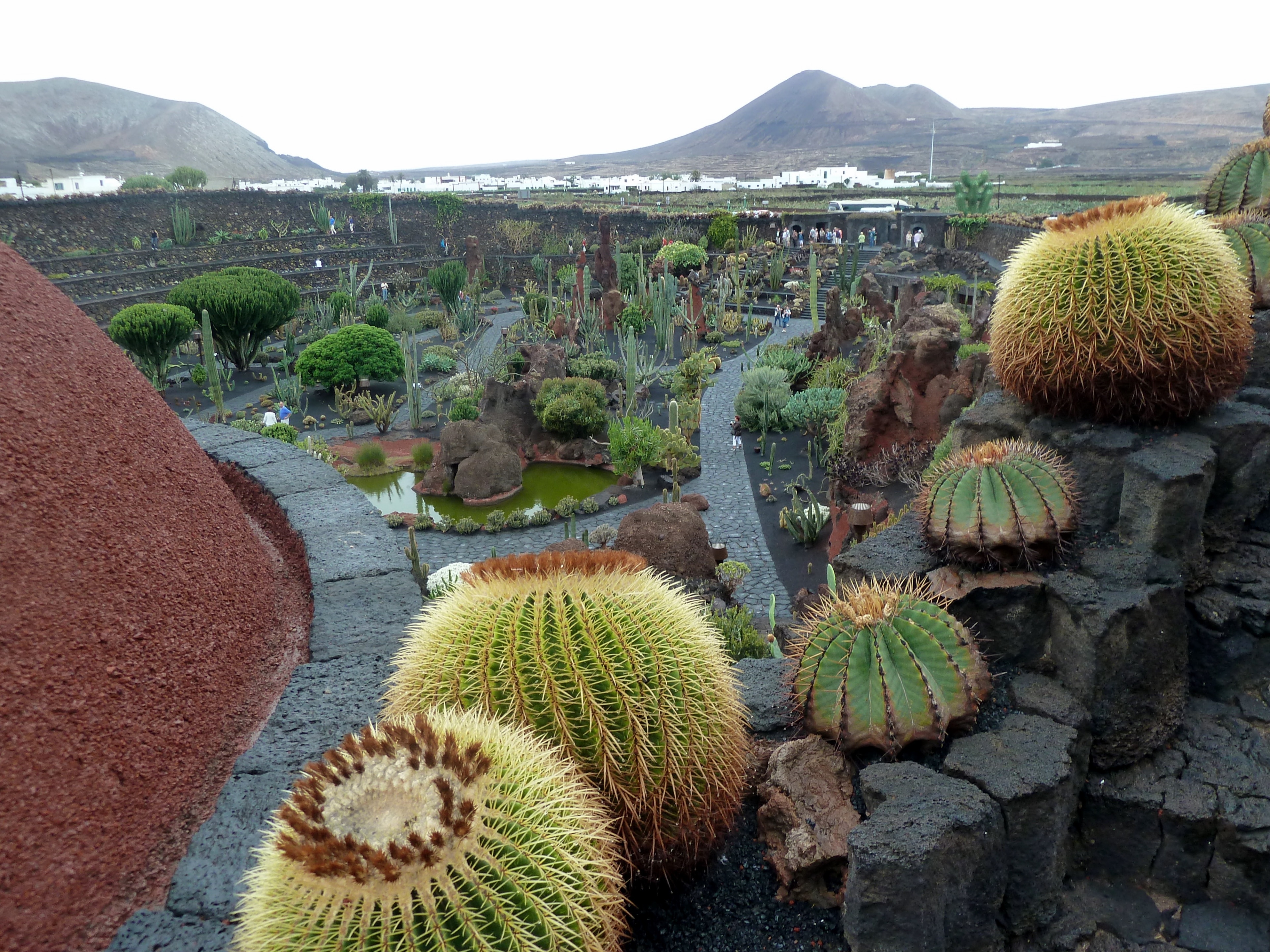 Jardin des cactus : Teguise - Visites & Activités