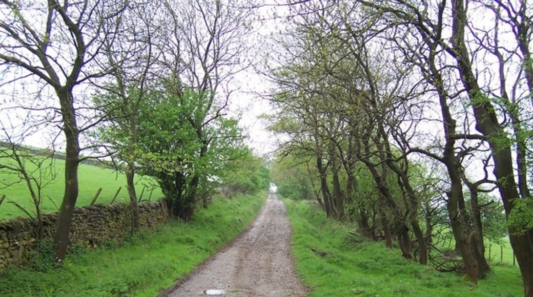 Foto “Otterburn” tomada por Chris Heaton (CC BY-SA); recorte de la original