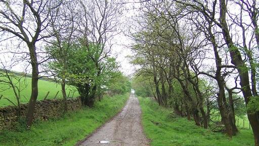 Ảnh "Otterburn" của Chris Heaton (CC BY-SA) / Cắt từ ảnh gốc