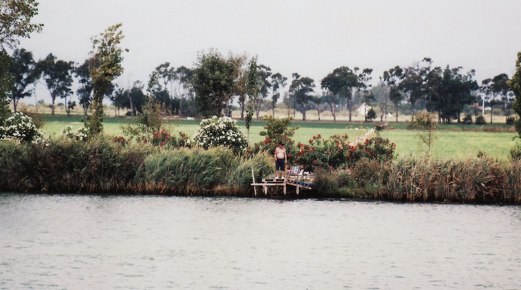 « Parc naturel du delta de l'Èbre», photo de Juan E. M. (CC BY-SA) / rognée de l’originale