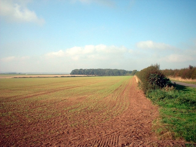 Photo "Beelsby" by David Wright (CC BY-SA) / Cropped from original