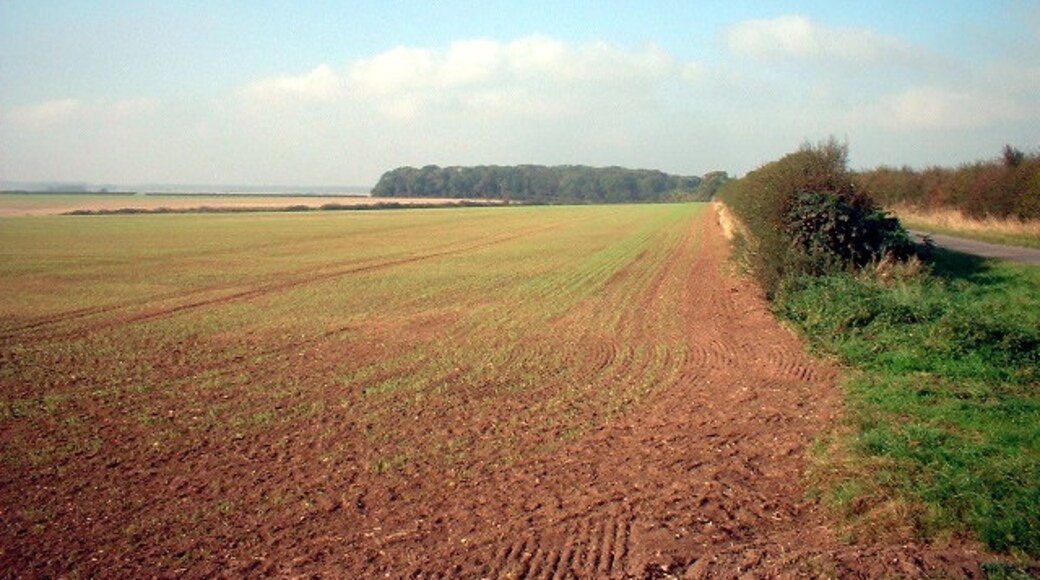 Photo "Beelsby" by David Wright (CC BY-SA) / Cropped from original