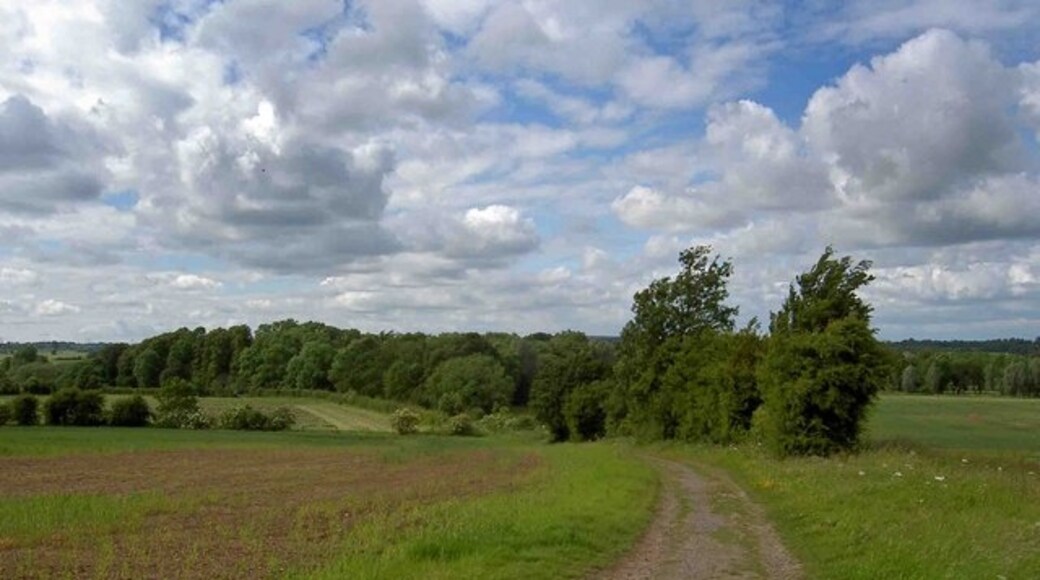 Photo "Firbeck" by Steve F (CC BY-SA) / Cropped from original