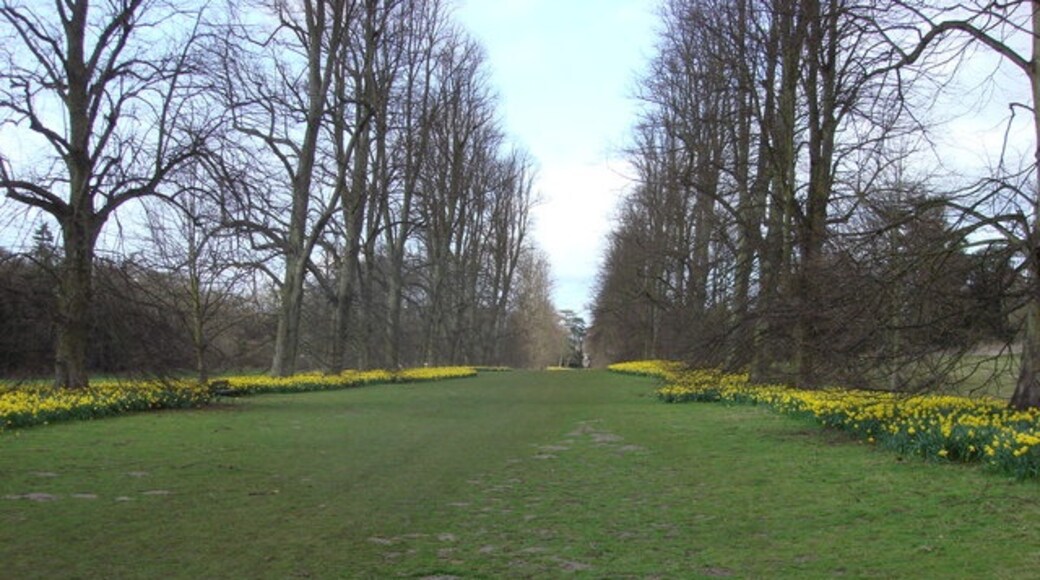 Bildet «Nowton Park» tatt av Oxyman (CC BY-SA) / originalbilde beskjært