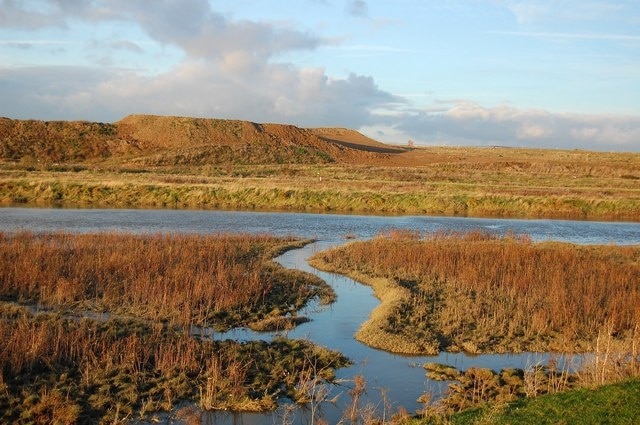 Pitsea Tip The low, flat-topped hills across East Haven Creek from Canvey Island are the result of land-fill at Pitsea Tip, one of the largest land-fill sites in Europe.