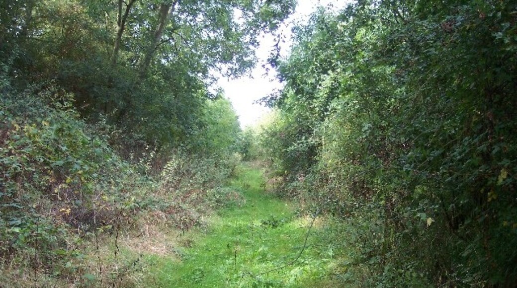 Foto „Lulsley“ von Bob Embleton (CC BY-SA)/zugeschnittenes Original