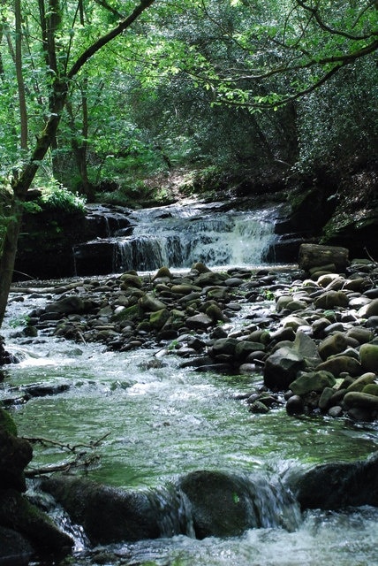 Harden Beck