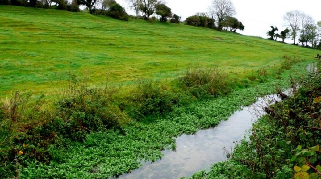 Photo "Winterborne St. Martin" by Nigel Mykura (CC BY-SA) / Cropped from original