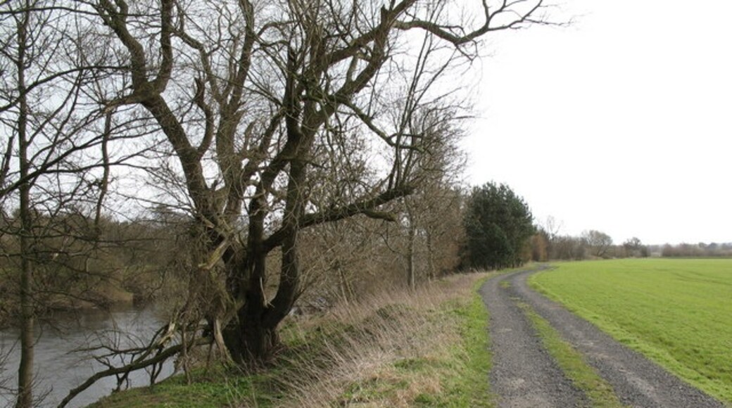 Kuva ”Bridge Hewick” käyttäjältä Gordon Hatton (CC BY-SA) / rajattu alkuperäisestä kuvasta