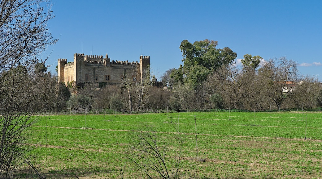 Kuva ”Castillo de Malpica” käyttäjältä Jose Luis Filpo Cabana (CC BY) / rajattu alkuperäisestä kuvasta