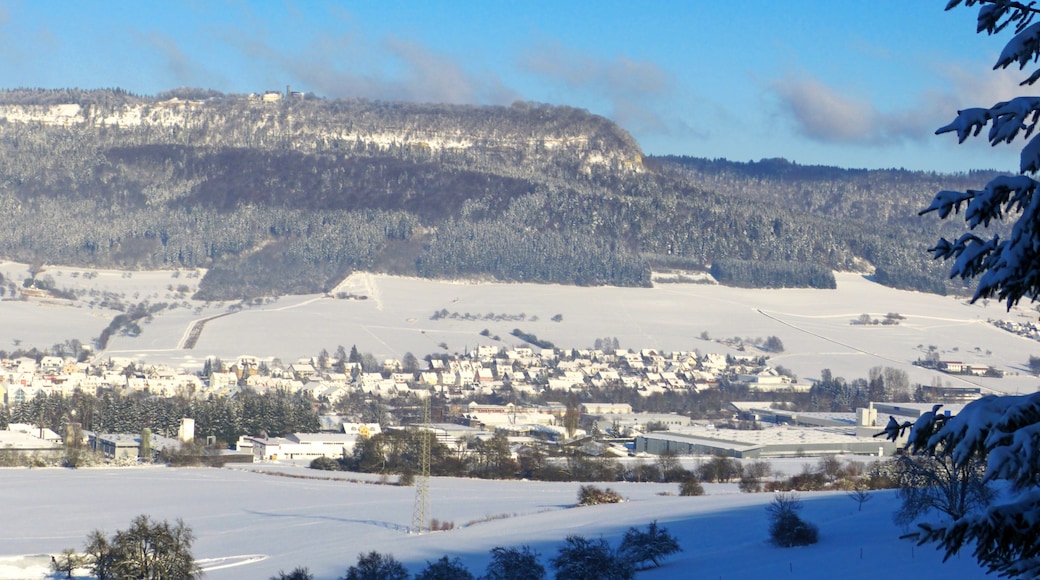 Photo "Spaichingen" by Alexander Reuss (CC BY) / Cropped from original