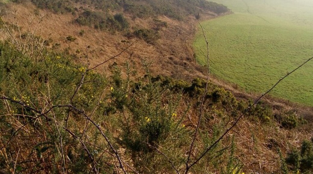 "Winterbourne Steepleton"-foto av Jim Champion (CC BY-SA) / Urklipp från original