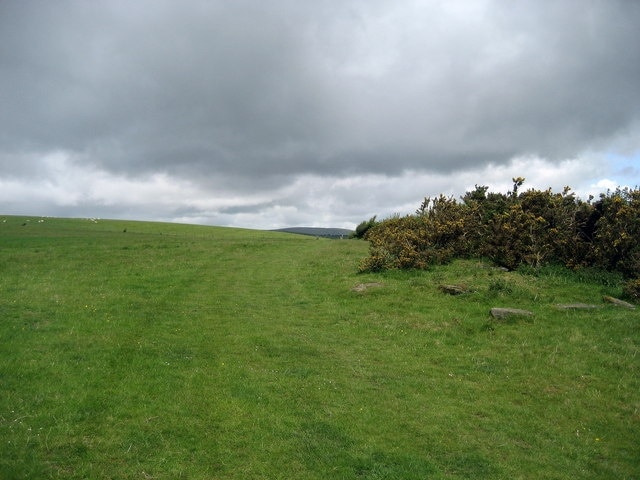 Offa's Dyke Trail on Little Mountain Having left the confines of Red Lane - northbound walkers climb onto this common before descending towards Newchurch.