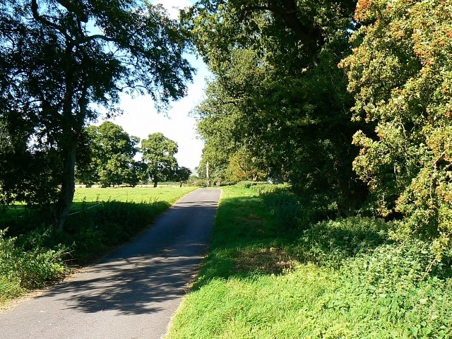 Foto "Stert" por Brian Robert Marshall (CC BY-SA) / Recortada de la original