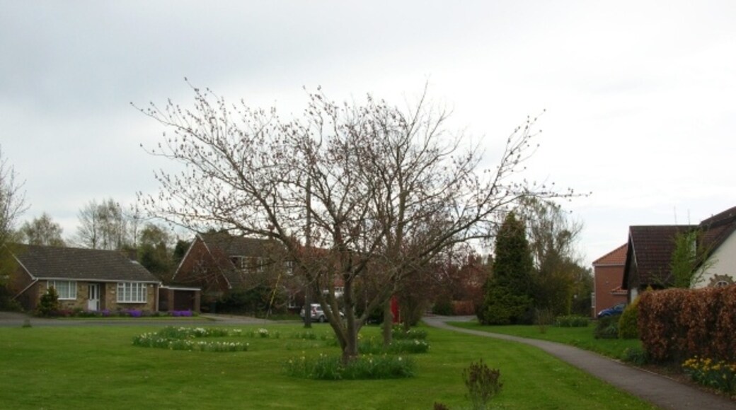 Photo "Claxton" by DS Pugh (CC BY-SA) / Cropped from original