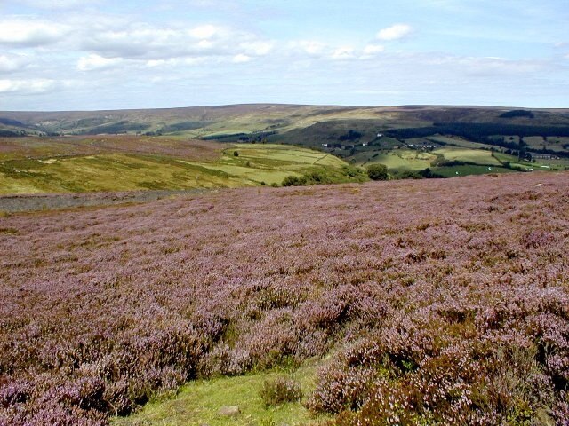 Photo "Rosedale West Side" by Mick Garratt (CC BY-SA) / Cropped from original