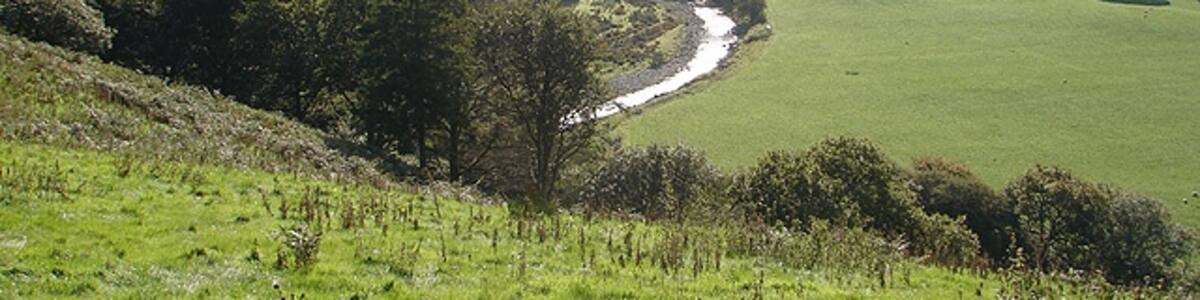 Photo "Afon Ystwyth Looking upstream towards Cwmystwyth." by OLU (Creative Commons Attribution-Share Alike 2.0) / Cropped from original