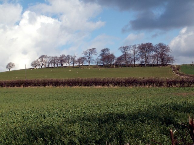 Fields trees and sky Taken from Silkstone bridleway, beyond the trees is Barnby Green Farm.