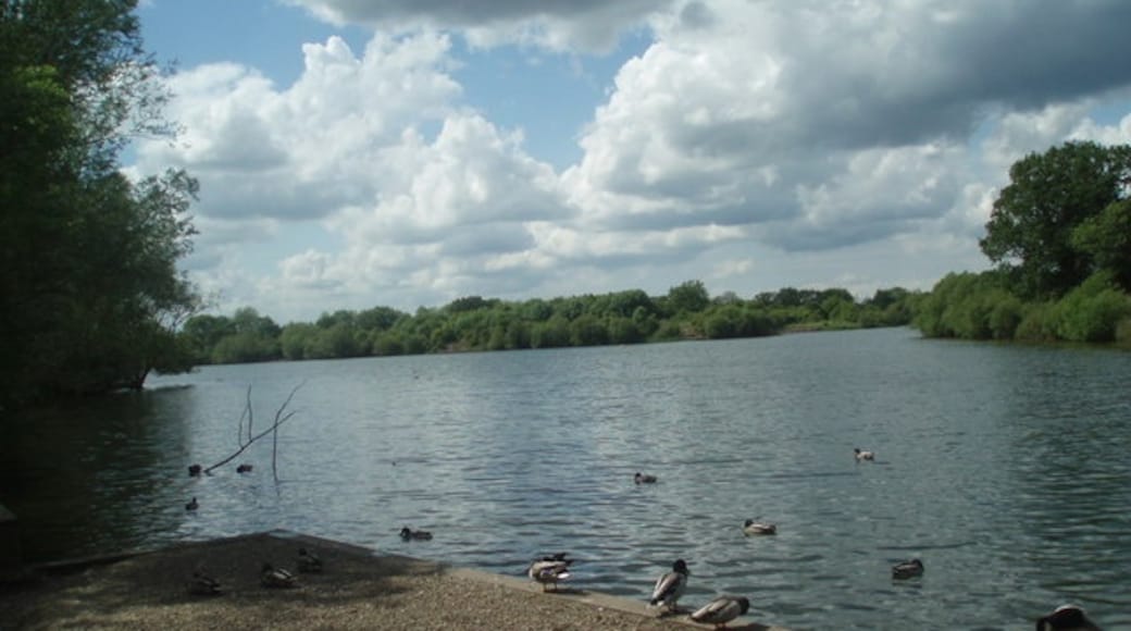 Photo "Dinton Pastures Country Park" by Paul Gillett (CC BY-SA) / Cropped from original