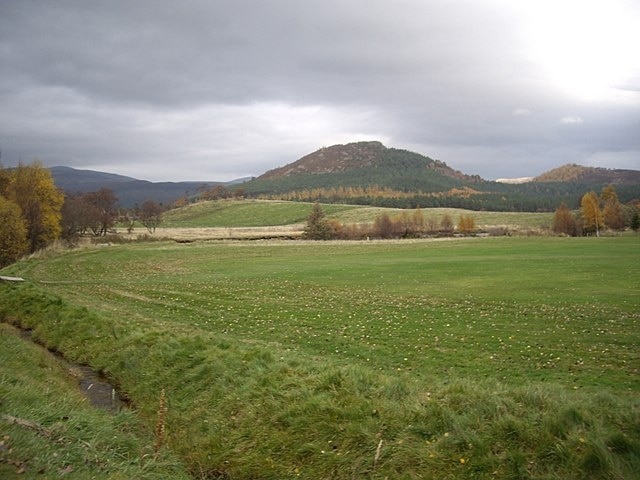 Drainage ditch by the Old Military Road Through Braemar golf course.