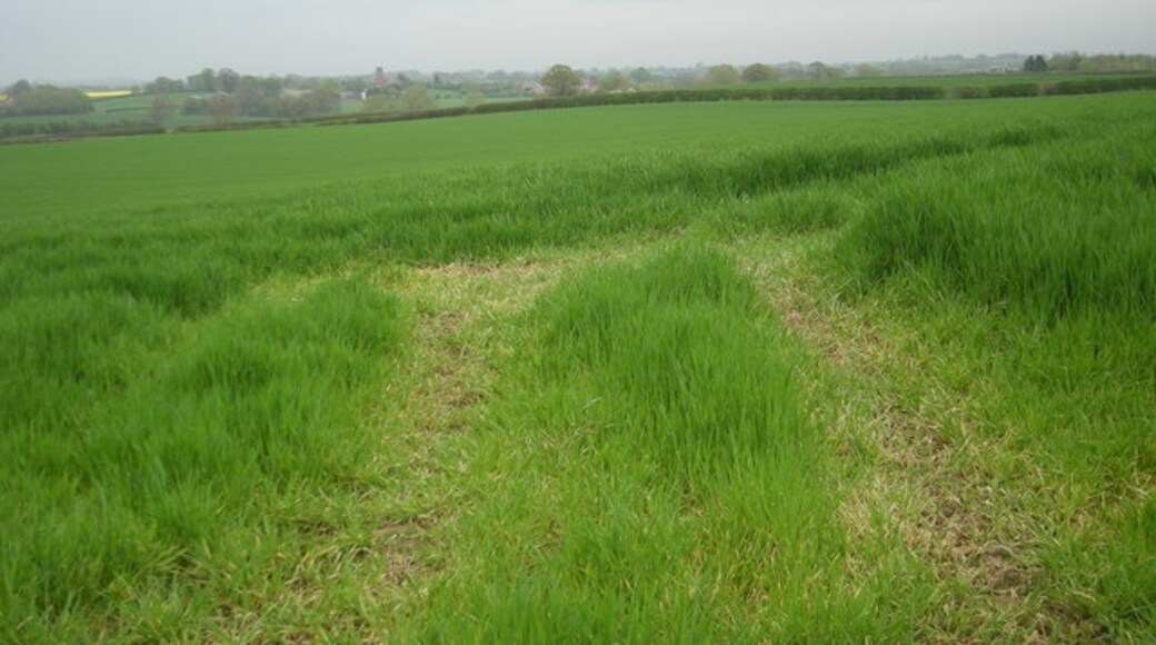 Photo "Ford" by Row17 (CC BY-SA) / Cropped from original