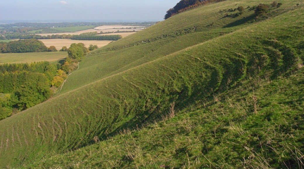 Foto "Ham" por Andrew Smith (CC BY-SA) / Recortada de la original