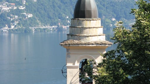 Ảnh "Pino Lago Maggiore" của Ozonski (CC BY) / Cắt từ ảnh gốc