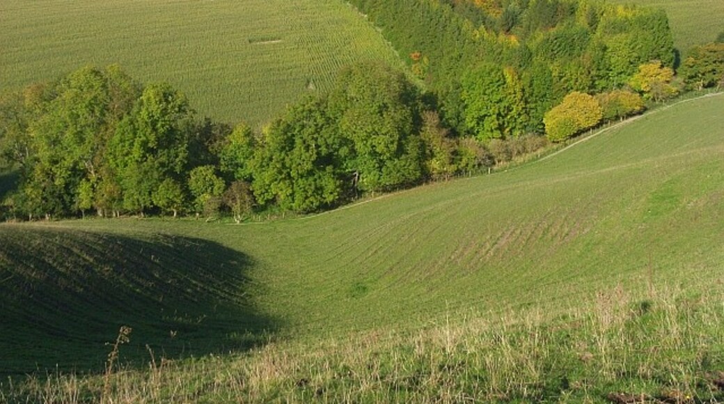 Foto "Ham" por Andrew Smith (CC BY-SA) / Recortada de la original