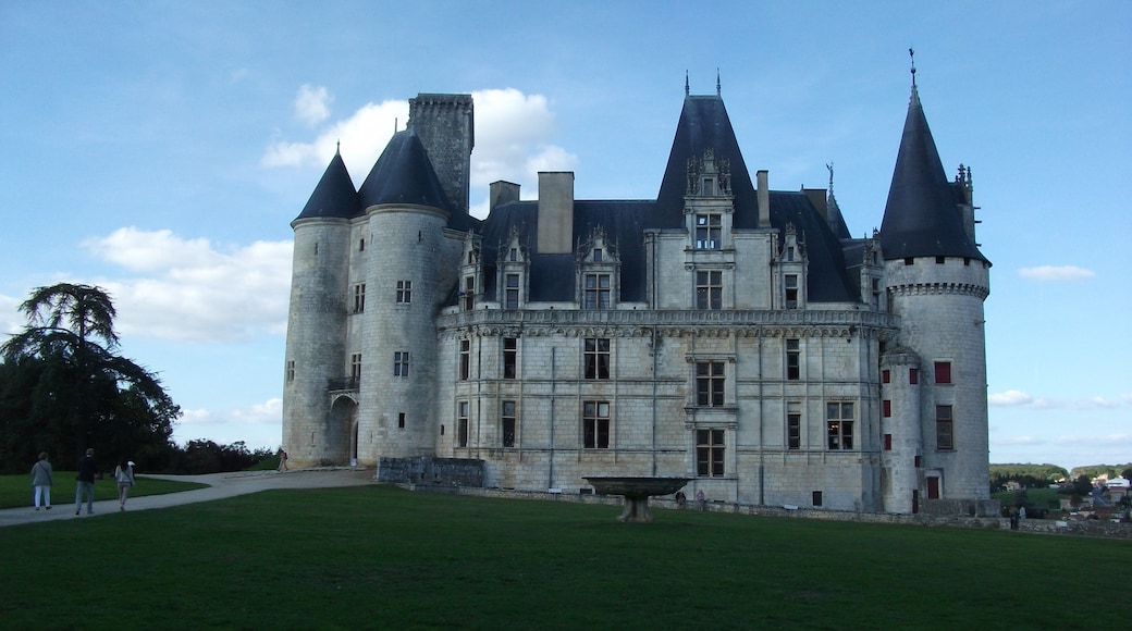 Foto "Château de la Rochefoucauld" de Rslr22 (page does not exist) (CC BY-SA) / Recortada do original