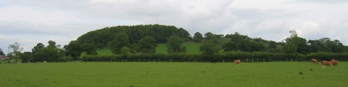 Photo "Shuckburgh Hill. Beacon Hill, at the Southern end of this hilly outcrop." by David Stowell (Creative Commons Attribution-Share Alike 2.0) / Cropped from original