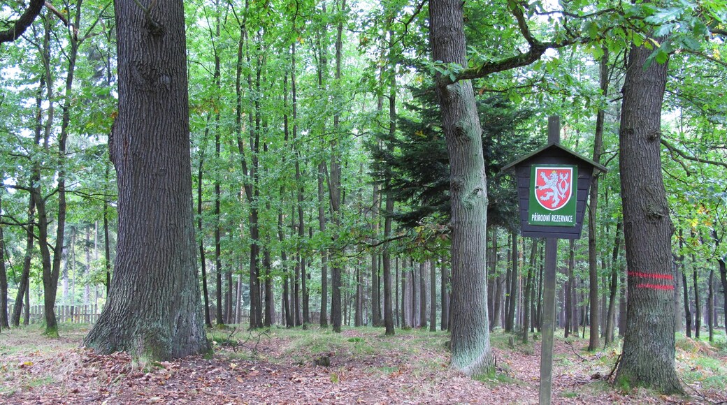 "Rynartice"-foto av Huhulenik (CC BY) / Urklipp från original