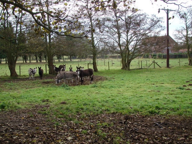 Foto „Newton on Derwent“ von David Rogers (CC BY-SA)/zugeschnittenes Original