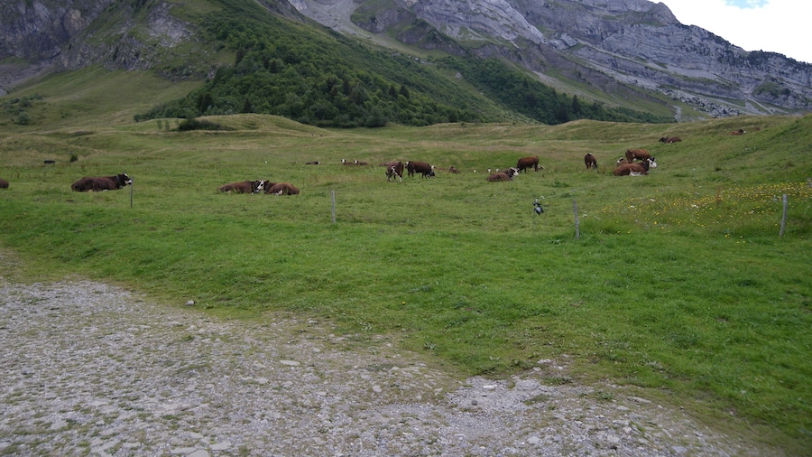 Photo "le col des aravis" by chisloup (Creative Commons Attribution 3.0) / Cropped from original