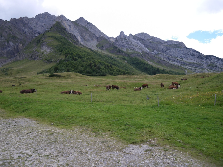 le col des aravis
