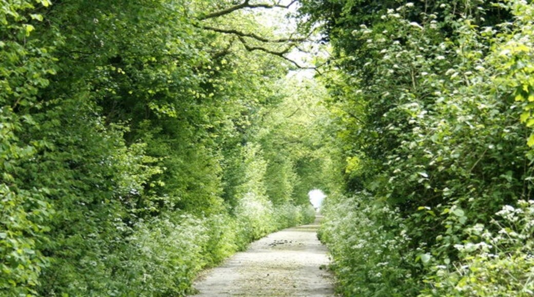 Foto "Dunkerton and Tunley" de Maurice Pullin (CC BY-SA) / Recortada do original