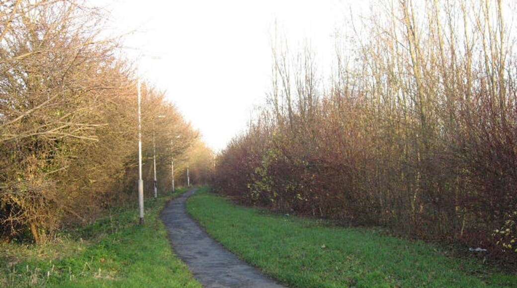 Foto "New Waltham" por Roger Gilbertson (CC BY-SA) / Recortada de la original