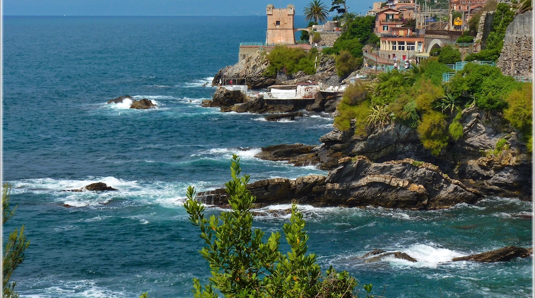 Photo "Nervi" by patano (CC BY-SA) / Cropped from original