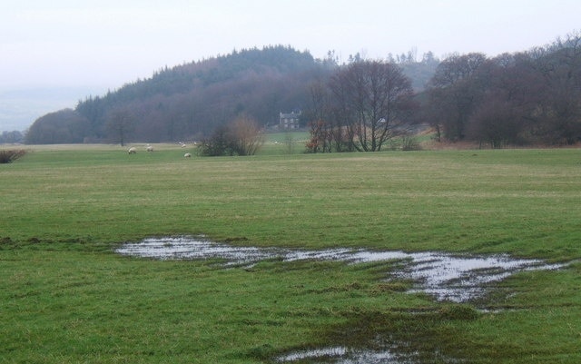 Kuva ”Angerton” käyttäjältä Andrew Hill (CC BY-SA) / rajattu alkuperäisestä kuvasta