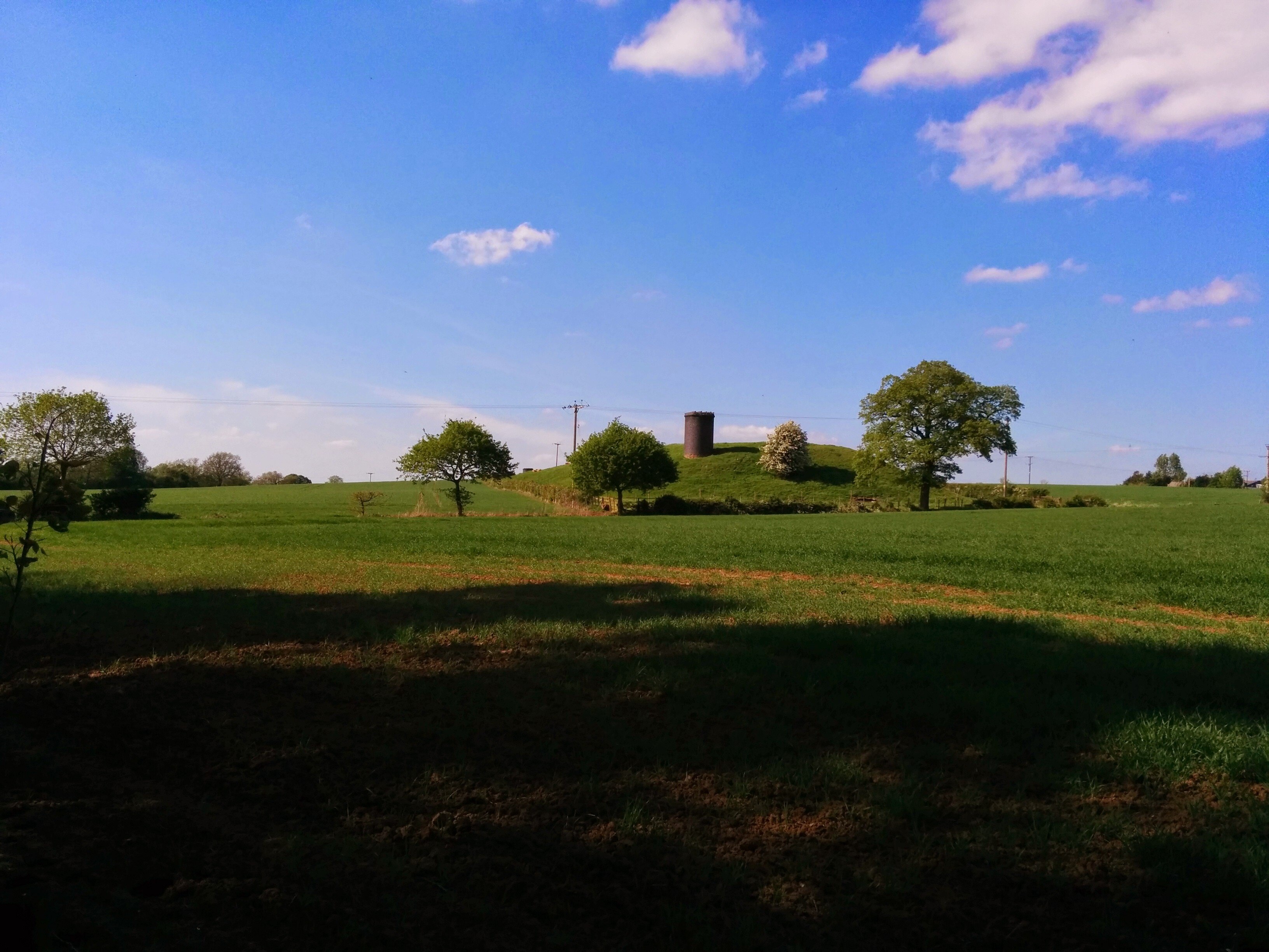 "Catesby"-foto av Andrew Roberts (CC BY-SA) / Urklipp från original