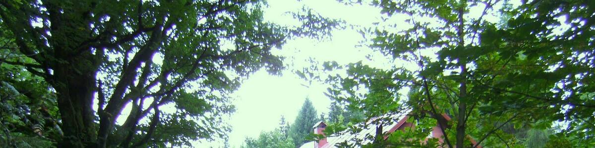 Photo "Königskron (2013 abgerissen)" by G. Zapf (Creative Commons Attribution 3.0) / Cropped from original