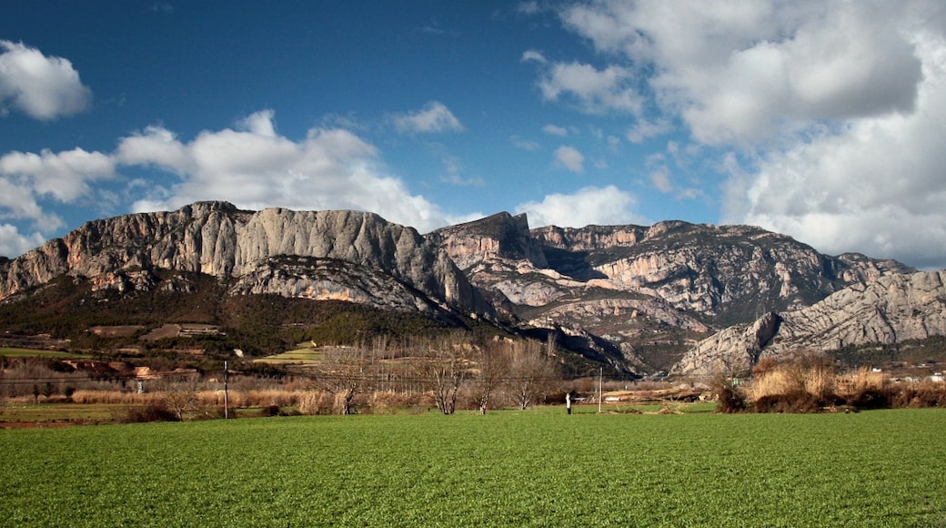 « Oliana», photo de Jorge Franganillo (CC BY) / rognée de l’originale