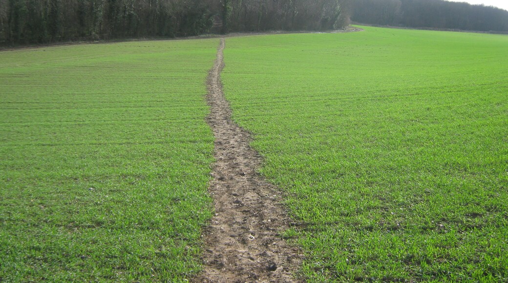 Photo "Lower Hardres and Nackington" by David Anstiss (CC BY-SA) / Cropped from original