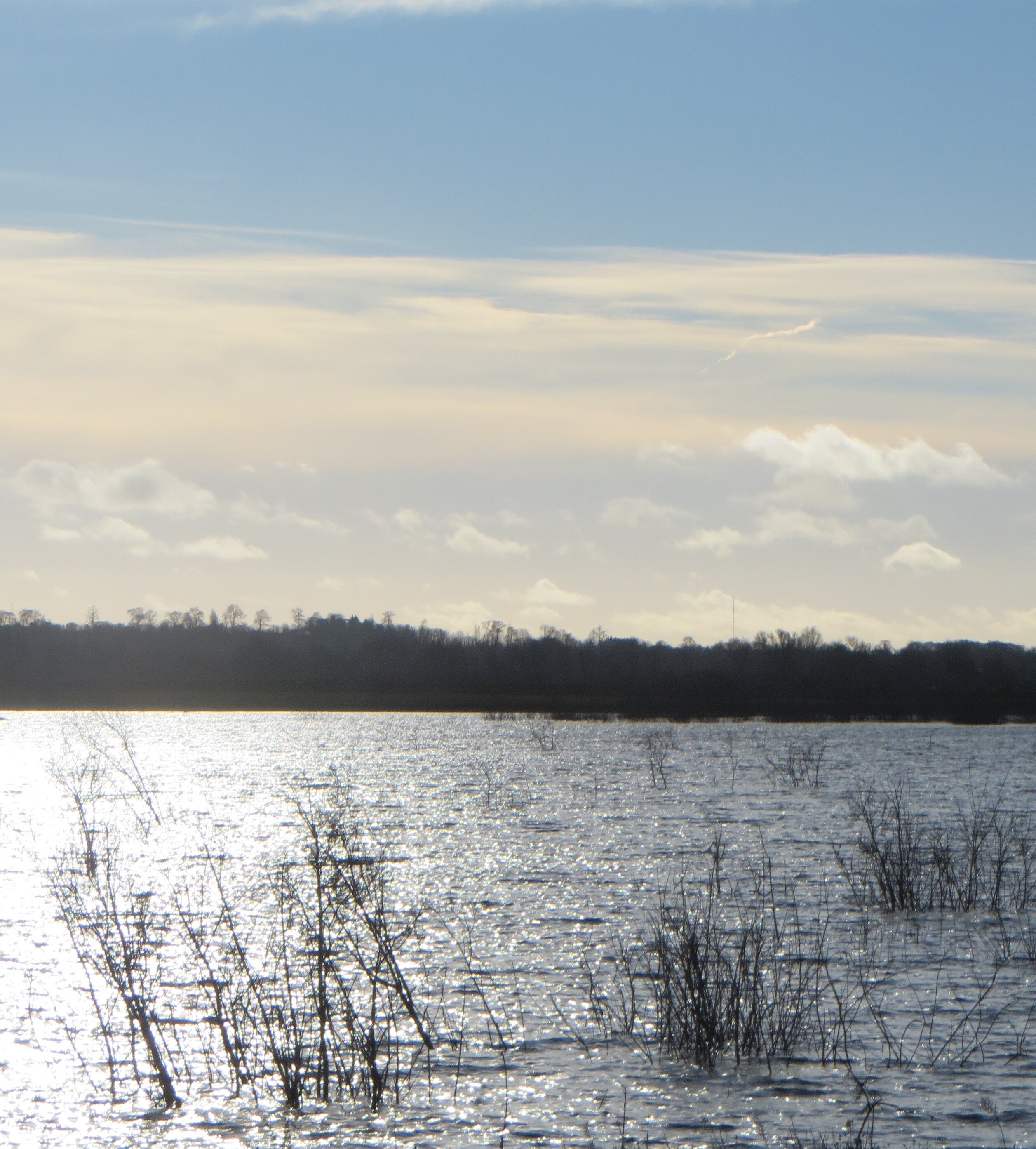 Foto “Diddington” tomada por Forester2009 (CC BY-SA); recorte de la original